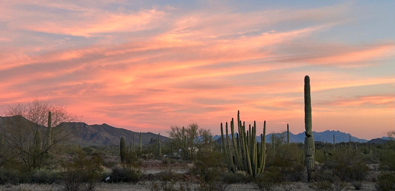 Old time fiddler illustration